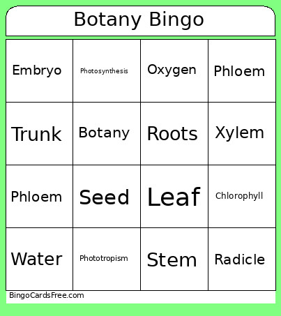 Botany Bingo Card