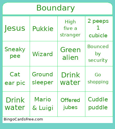Boundary Bingo Card