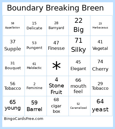 Boundary Breaking Breen Bingo Card