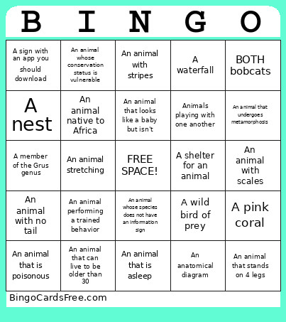 BPZOO Bingo Card