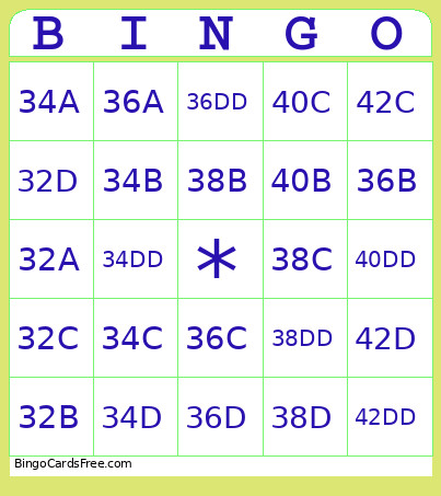 Bra Bingo Card