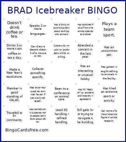bingocamhbrad Cards Free Pdf Printable Game, Title: BRAD Icebreaker BINGO