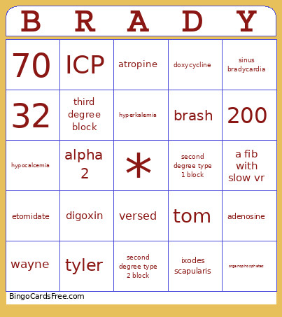 BRADY Bingo Card