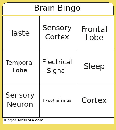 Brain Bingo Card