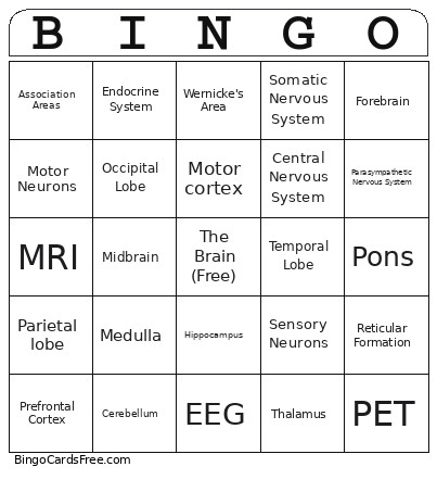 Brain Bingo Card