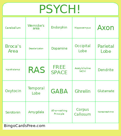 Brain / Neurotransmitter Bingo Card