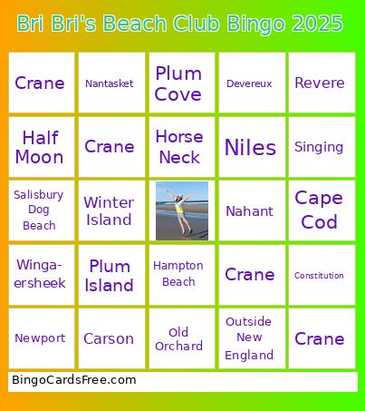 Bri Bri's Beach Club Bingo 2025