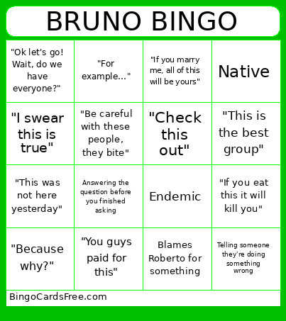 BRUNO Bingo Card