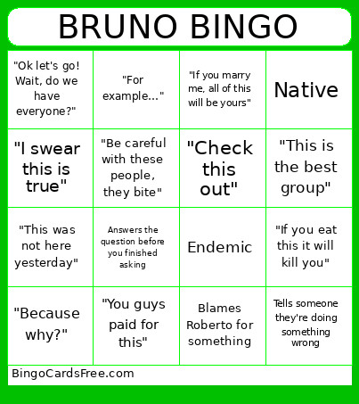 BRUNO Bingo Card