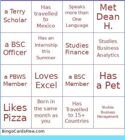 BSC Bingo Card