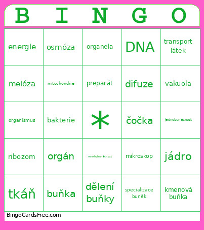 Buňka Bingo Card
