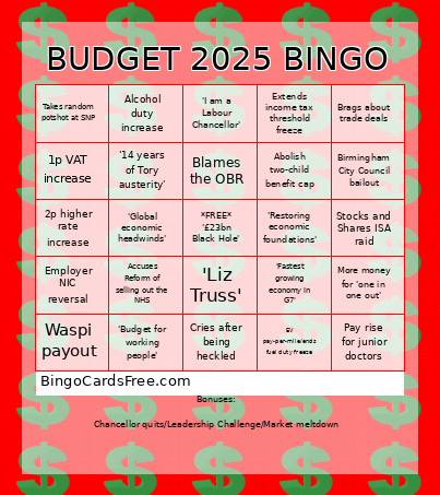 BUDGET 2025 Bingo Card
