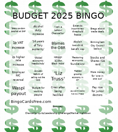 BUDGET 2025 Bingo Card 2
