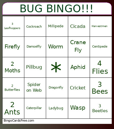 BUG !!! Bingo Card