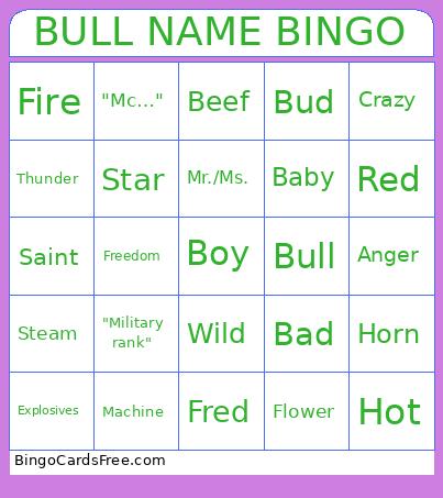 Bull Name Bingo