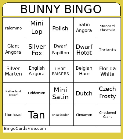 BUNNY Bingo Card
