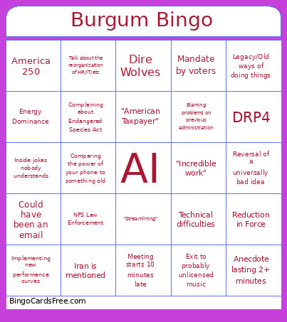 Burgum Bingo Card