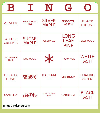 BUSHES AND TREES Bingo Card