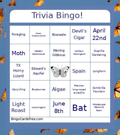 Butterfly Trivia Bingo Card