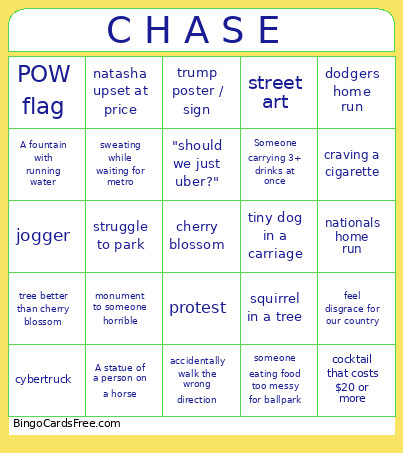 C H A S E Bingo Card