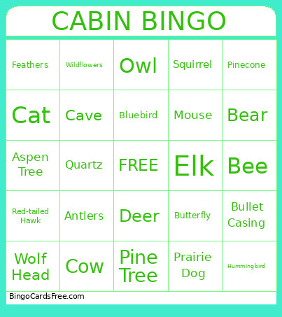 Cabin Bingo Card