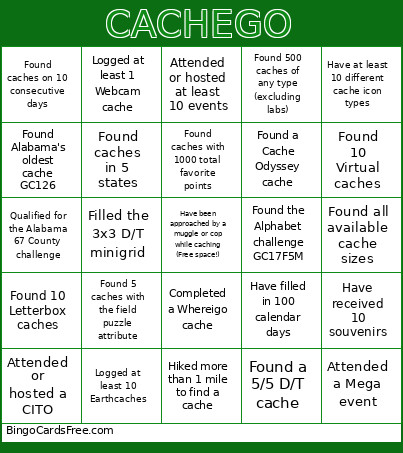 CACHEGO Bingo Card