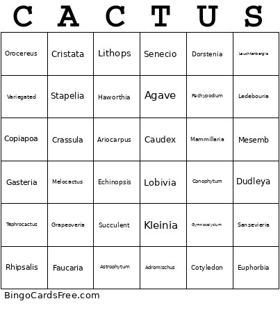 Cactus Bingo Card