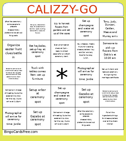 CALIZZY-GO Bingo Card