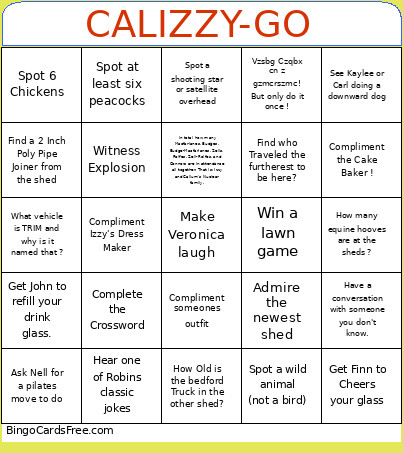 CALIZZY-GO Bingo Card