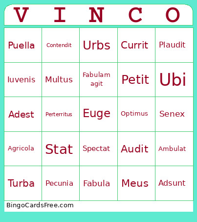 Cambridge Stage 5 Bingo Card