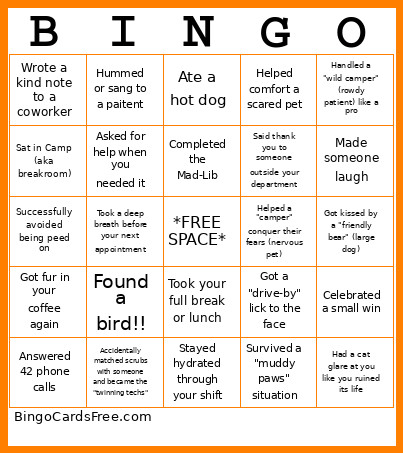 Camp VCA Aurora Bingo Card