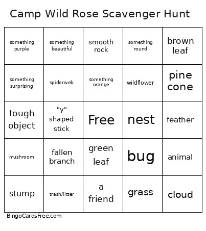 Camp Wild Rose Scavenger Hunt Bingo Card