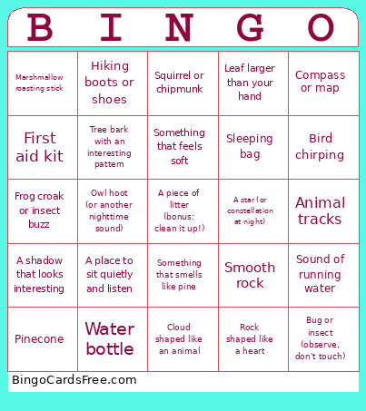 Camping Bingo Card