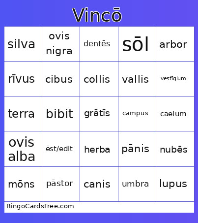 Capitulum 9 Bingo Card