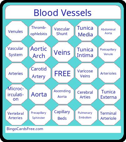 Cardio System Vessels Bingo