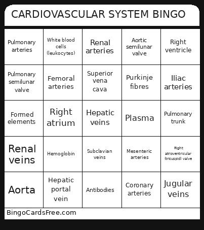 IOVASCULAR SYSTEM Bingo Card