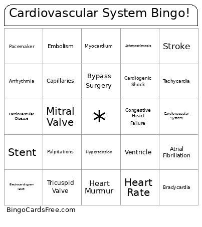 Iovascular System ! Bingo Card