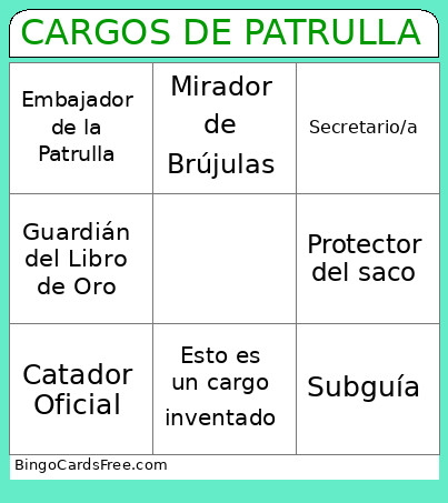 CARGOS DE PATRULLA Bingo Card