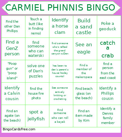 CARMIEL PHINNIS Bingo Card