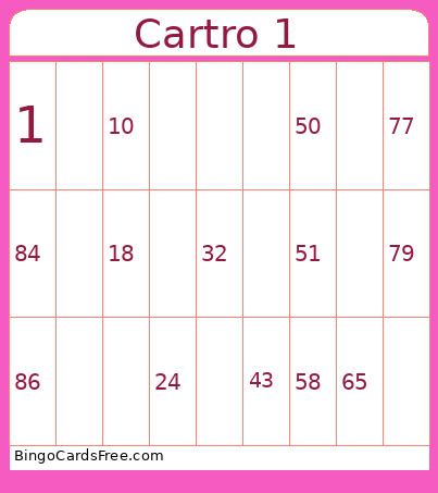 Cartro 1 Bingo Card