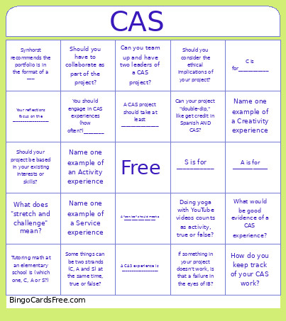CAS Projects Bingo Card