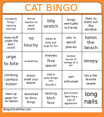 Cat Bingo Card