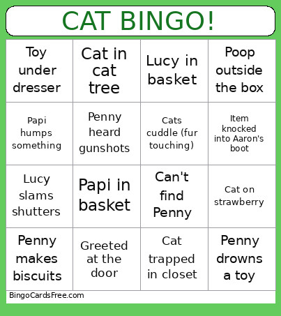 CAT ! Bingo Card