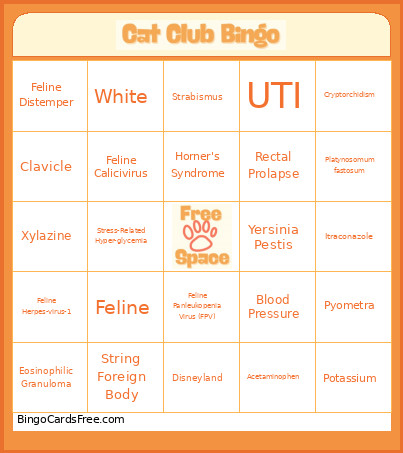 Cat Club 2026 Bingo Card