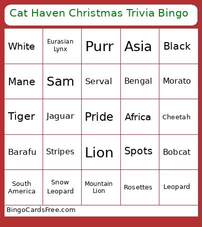 Cat Haven Christmas Trivia Bingo Card