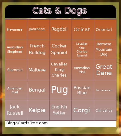 Cats & Dogs Bingo Card