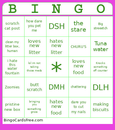 Catss Bingo Card