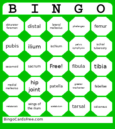 Caudal Bones Bingo Card