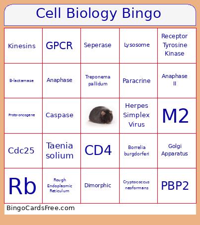 Cell Biology Bingo Card