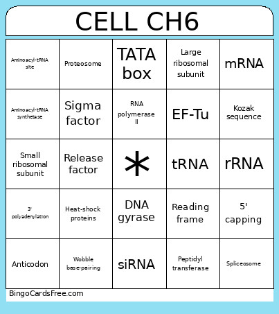 Cell CH6 Bingo Card